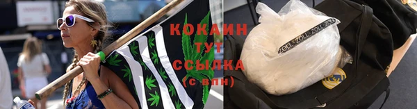 ГАЛЛЮЦИНОГЕННЫЕ ГРИБЫ Волоколамск