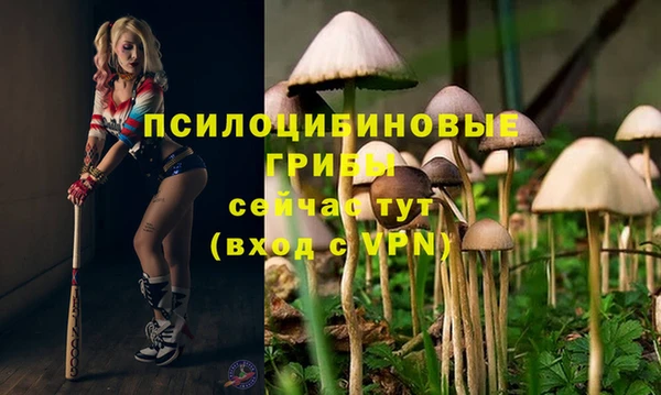 гидропоника Володарск