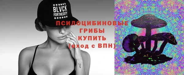 2c-b Вяземский